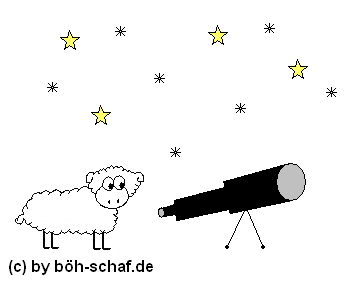 Schaf im Dunkeln