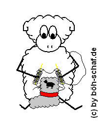 Schaf strickt
