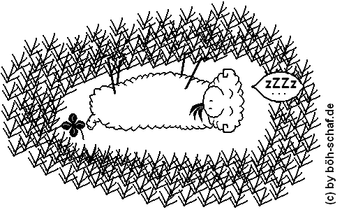 Schaf mit Futterlähmung